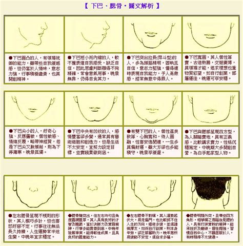 下巴長 面相|面相大全——下巴